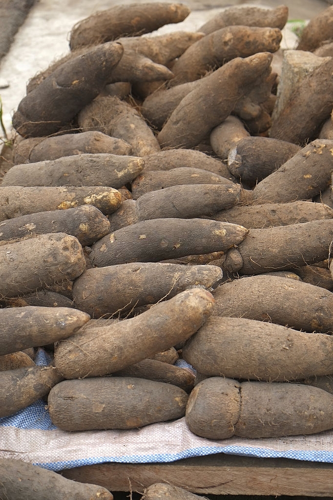 What Is Yam Vegetable Called In Telugu